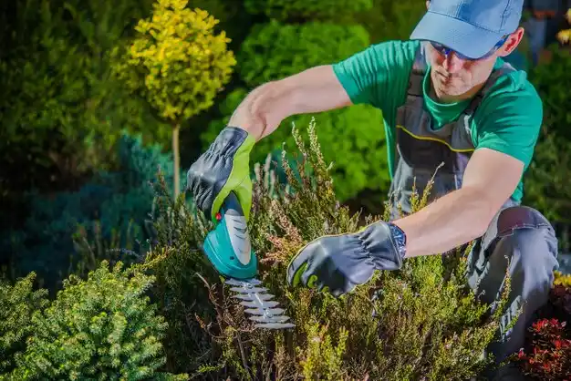 landscaping services Conehatta